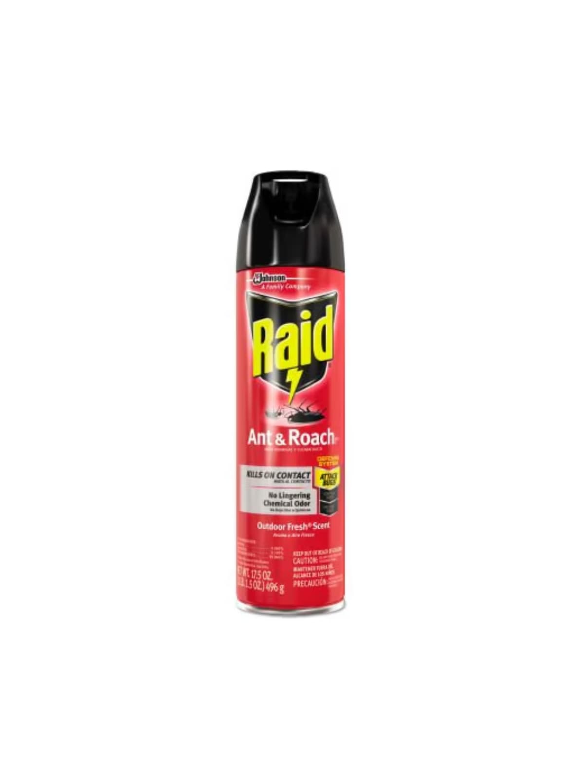 Raid